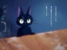 ICHIGO MILK "の画像(猫/ねこ/ネコ/黒い/青い/暗いに関連した画像)