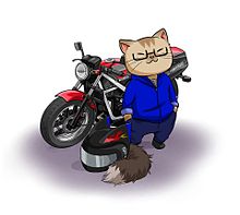 猫 バイクの画像5点 完全無料画像検索のプリ画像 Bygmo