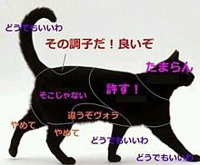 猫ねこネコNEKOnekoの画像(ｵﾓｼﾛに関連した画像)