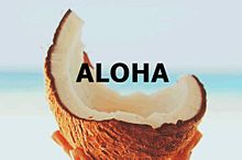トロピカル＆リゾートな夏ネイルなら“ハワイアン”なデザインで決まりでしょ♪の画像(ハワイ ネイルに関連した画像)