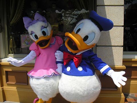 Donald Duck & Daisyの画像(プリ画像)