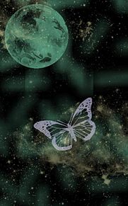 月と蝶シリーズ1の画像(綺麗 蝶に関連した画像)