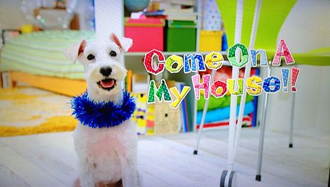 come on Ａ My House!!の画像 プリ画像