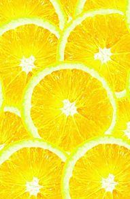 壁紙 柑橘類 高画質の画像1点 完全無料画像検索のプリ画像 Bygmo