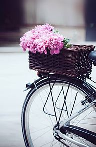 自転車の画像(カゴかごバスケット花ピンクに関連した画像)