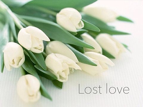Lost loveの画像(プリ画像)