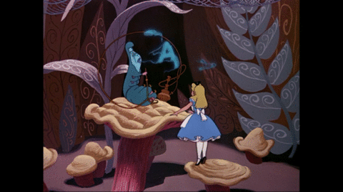 Alice in wonderlandの画像 プリ画像