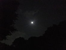 月と森 プリ画像
