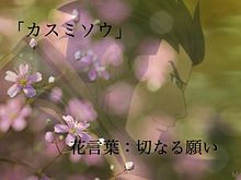 花言葉の画像(徳川家康に関連した画像)