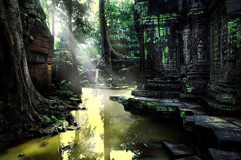 森の神殿 完全無料画像検索のプリ画像 Bygmo