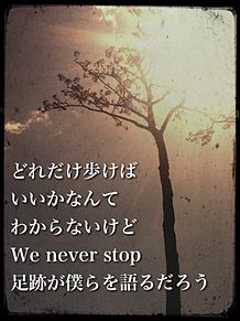 NEVER STOP × 奇跡の一本松 プリ画像