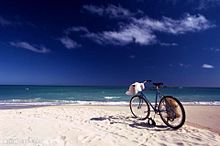海の画像(自転車 かっこいいに関連した画像)