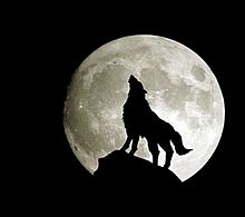 月と狼の画像28点 4ページ目 完全無料画像検索のプリ画像 Bygmo