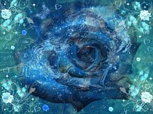 Blue roseの画像(青い薔薇に関連した画像)