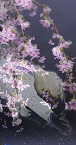 桜花芳香の画像(コラージュに関連した画像)