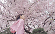 sakuraの画像(宮脇咲良 桜に関連した画像)
