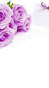 壁紙 紫 バラの画像16点 2ページ目 完全無料画像検索のプリ画像 Bygmo