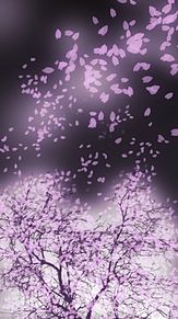 桜吹雪 素材の画像5点 完全無料画像検索のプリ画像 Bygmo