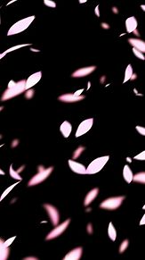 桜 吹雪 背景の画像13点 完全無料画像検索のプリ画像 Bygmo