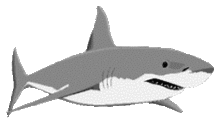 サメ 絵の画像21点 3ページ目 完全無料画像検索のプリ画像 Bygmo