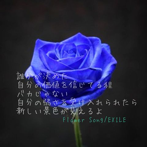 EXILE/Flower Song 歌詞画の画像(プリ画像)