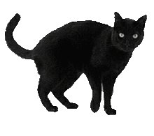 黒猫 デコの画像13点 完全無料画像検索のプリ画像 Bygmo