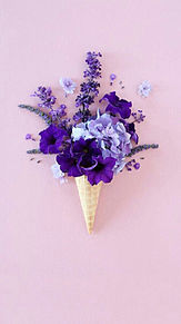 おしゃれ 素材 紫 花の画像105点 2ページ目 完全無料画像検索のプリ画像 Bygmo