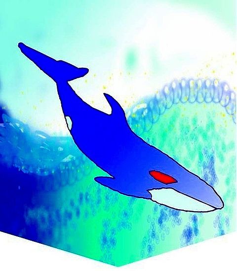 Jpg マ L0003 Xx 紋章 美しい海とシャチ 完全無料画像検索のプリ画像 Bygmo