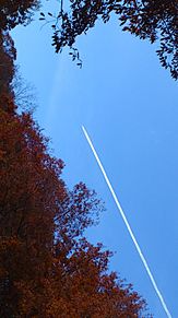 女心と秋の空と、飛行機雲。の画像(女心と秋の空に関連した画像)