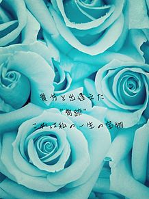 青いバラの花言葉の画像(青いバラに関連した画像)