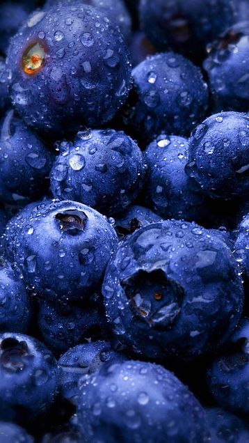 blueberryの画像(プリ画像)