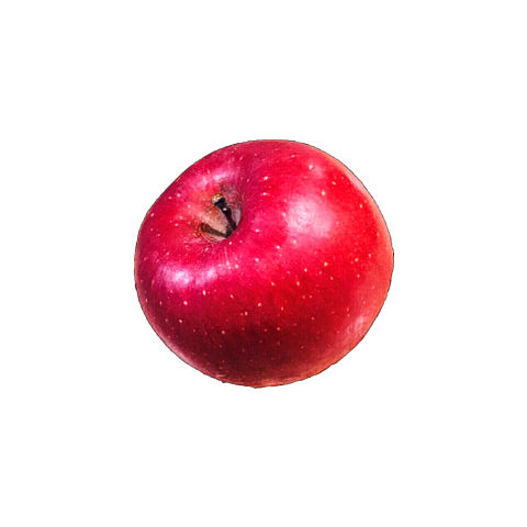 りんご 説明文必須の画像(プリ画像)