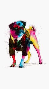 イラスト パグ 可愛い 犬の画像1点 完全無料画像検索のプリ画像 Bygmo