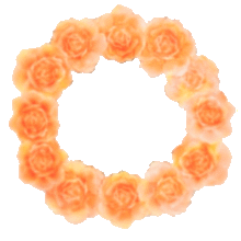 オレンジ 薔薇の画像38点 完全無料画像検索のプリ画像 Bygmo