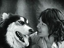 東方神起　ユチョン　ハラン　犬の画像(ハランに関連した画像)