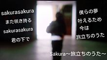 Sakura〜旅立ちのうた〜の画像(旅立ちに関連した画像)