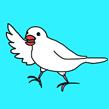 かわいい 白文鳥の画像6点 完全無料画像検索のプリ画像 Bygmo
