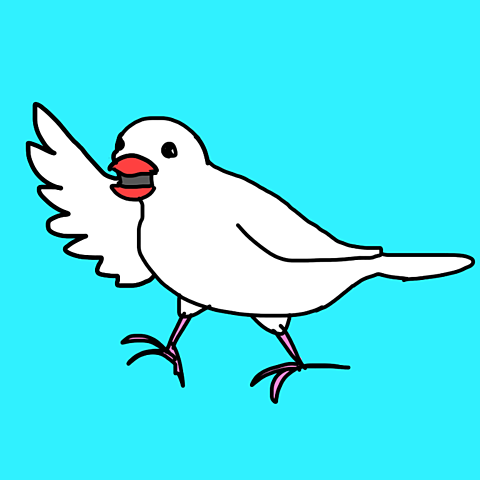 かわいい イラスト 文鳥の画像1点 完全無料画像検索のプリ画像 Bygmo