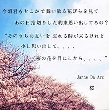 桜の画像(acid black cherryに関連した画像)