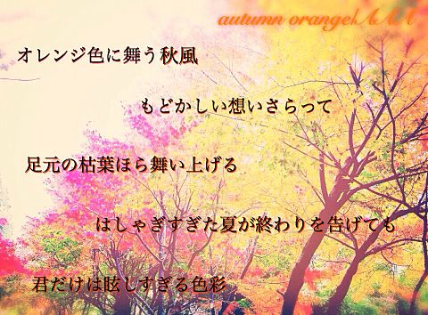 autumn orangeの画像 プリ画像