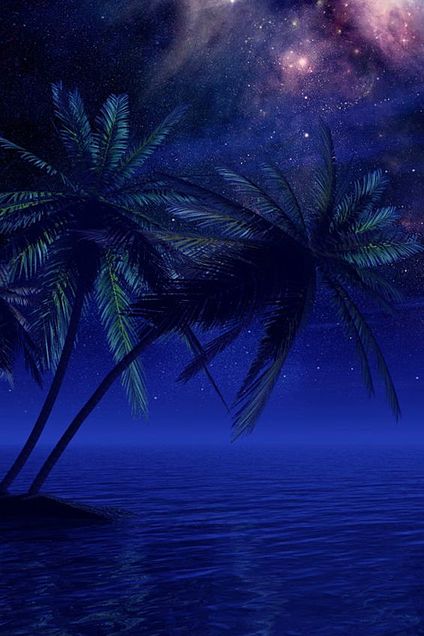 背景  風景  夜  木  海  星空の画像(プリ画像)