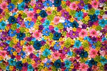 いっぱい カラフル 壁紙 花の画像2点 完全無料画像検索のプリ画像 Bygmo