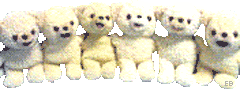 ゆるふわ姫系 素材 ライン 熊の画像 プリ画像