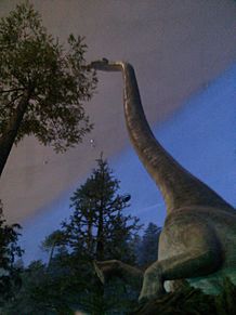 IN  恐竜博物館の画像(恐竜博物館に関連した画像)