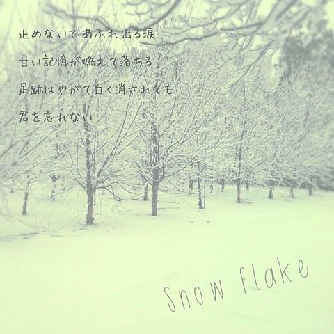 Snowflakeの画像(プリ画像)