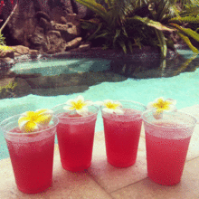 tropical juiceの画像(Plumeriaに関連した画像)