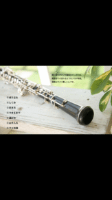 吹奏楽 オーボエの画像(木管楽器に関連した画像)