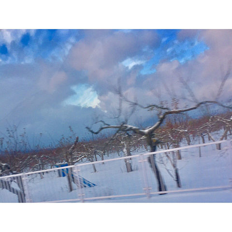 冬の空の画像(プリ画像)