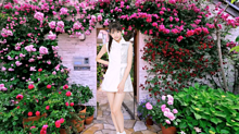 モーニング娘。♡☆ 牧野真莉愛  Pretty ～バラ園～の画像(ANGELに関連した画像)