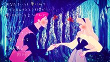 オーロラ姫＆フィリップ王子の画像(いつか夢でに関連した画像)